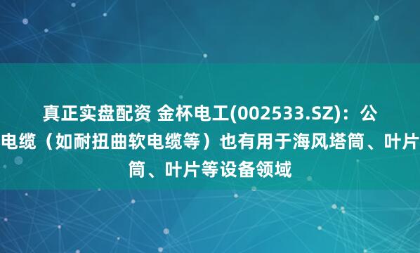 真正实盘配资 金杯电工(002533.SZ)：公司部分特种电缆（如耐扭曲软电缆等）也有用于海风塔筒、叶片等设备领域