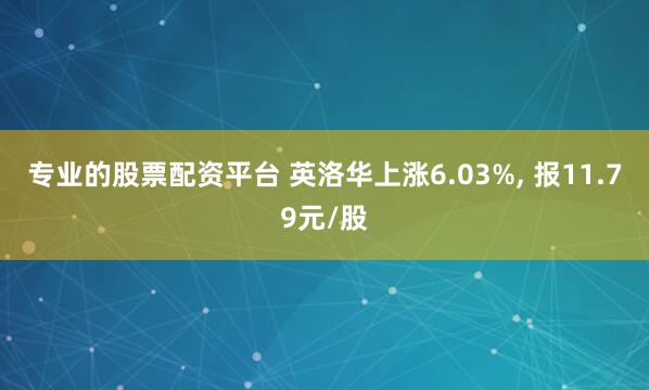 专业的股票配资平台 英洛华上涨6.03%, 报11.79元/股