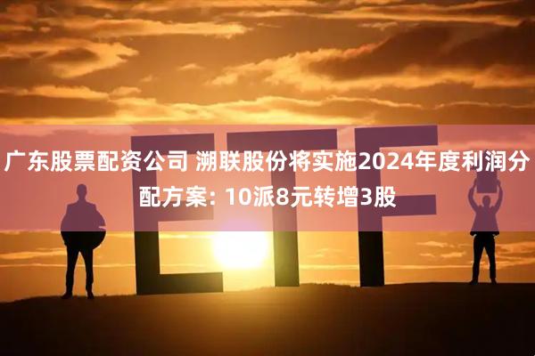 广东股票配资公司 溯联股份将实施2024年度利润分配方案: 10派8元转增3股